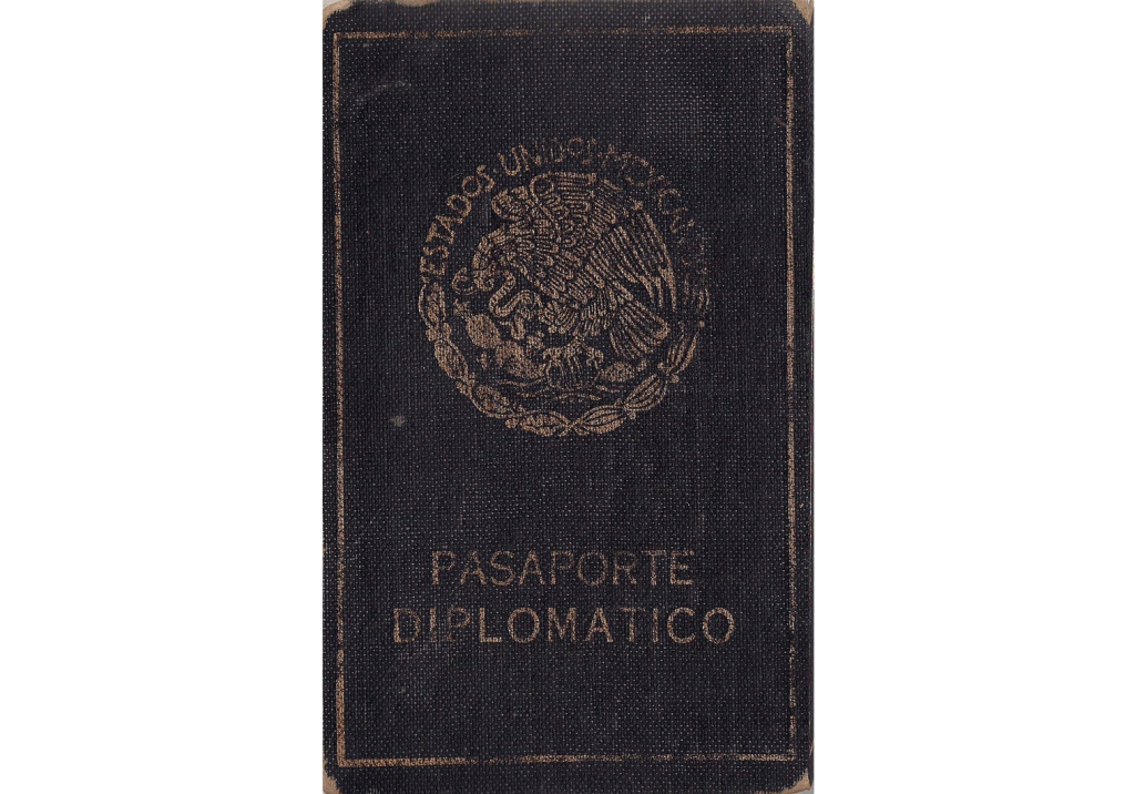 mexican passport card