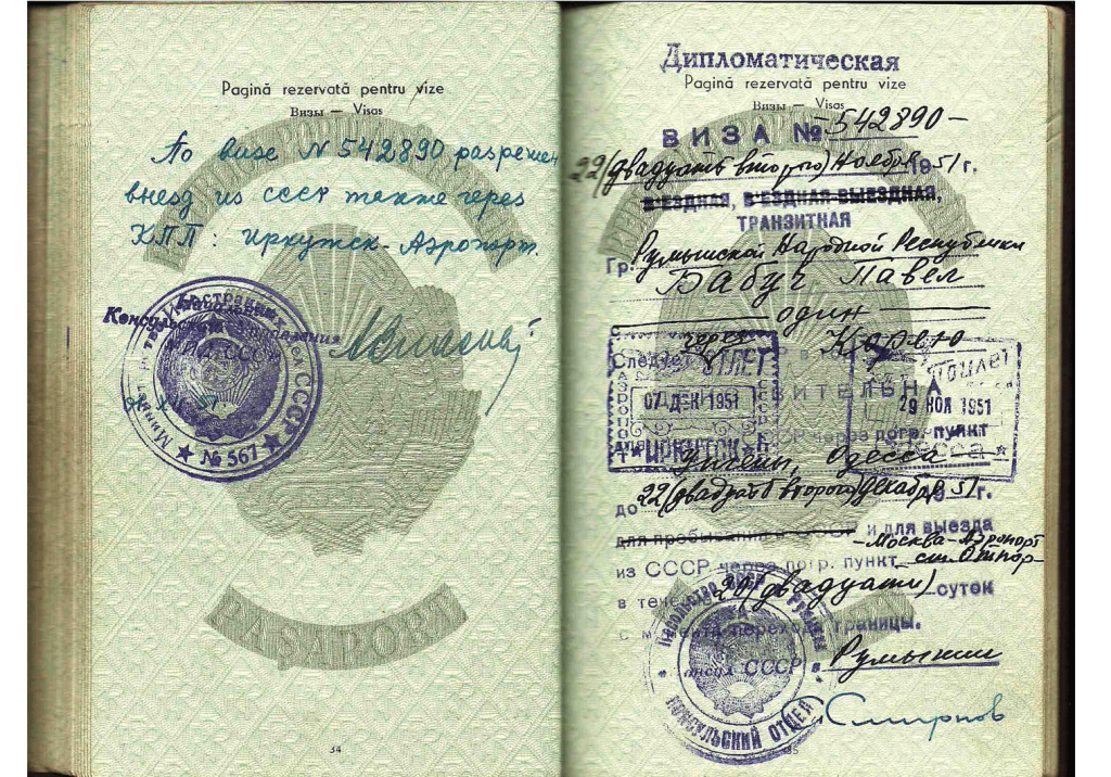 Ambassador's passport to North Korea