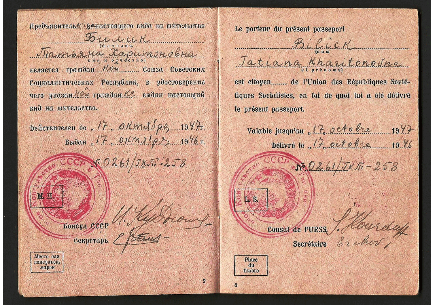 WW2 China passport