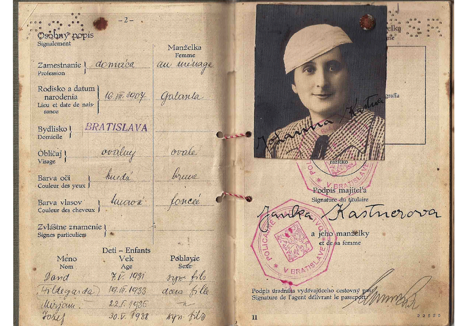 Munich Agreement passport 1938