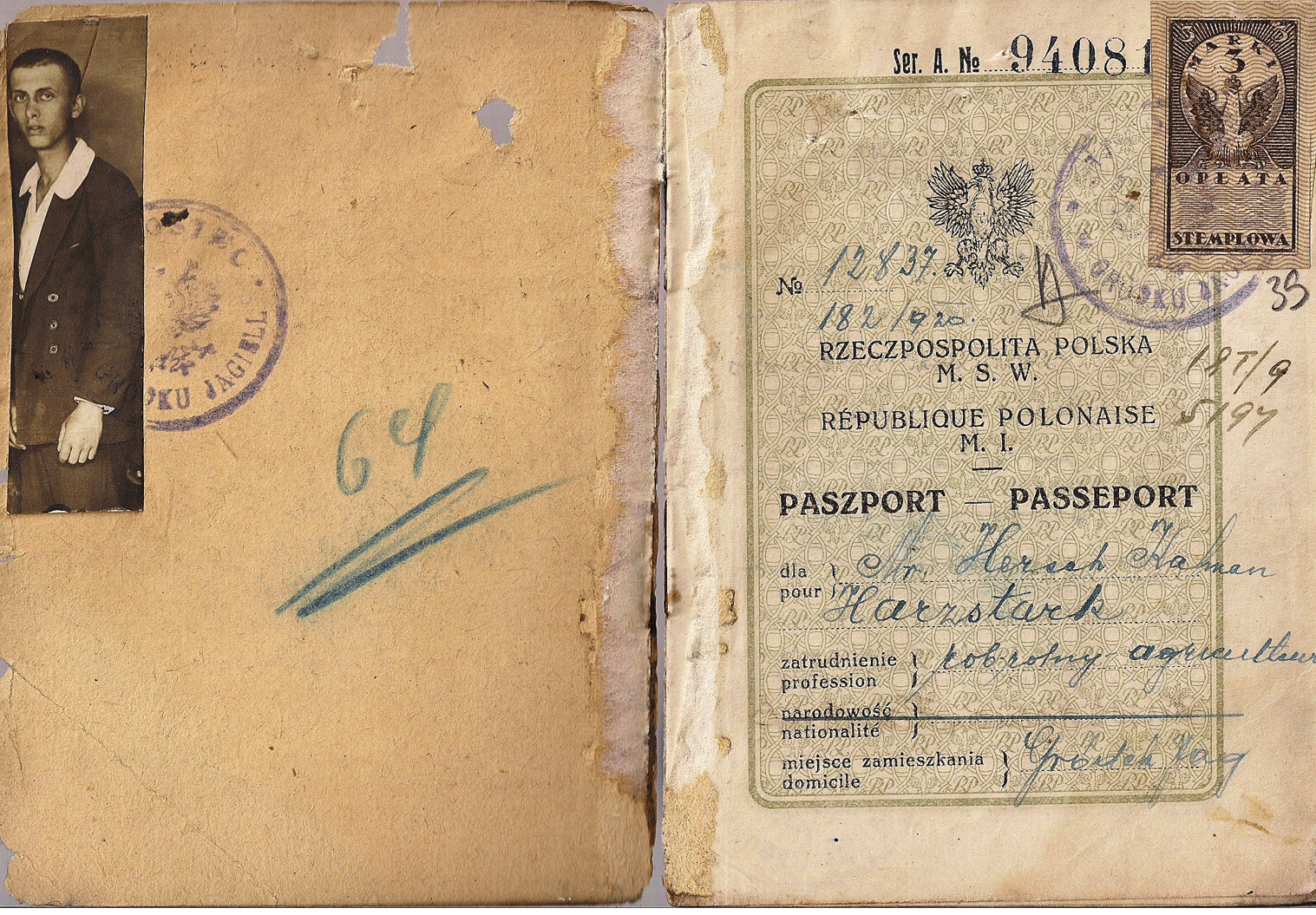 1920 Polish passport