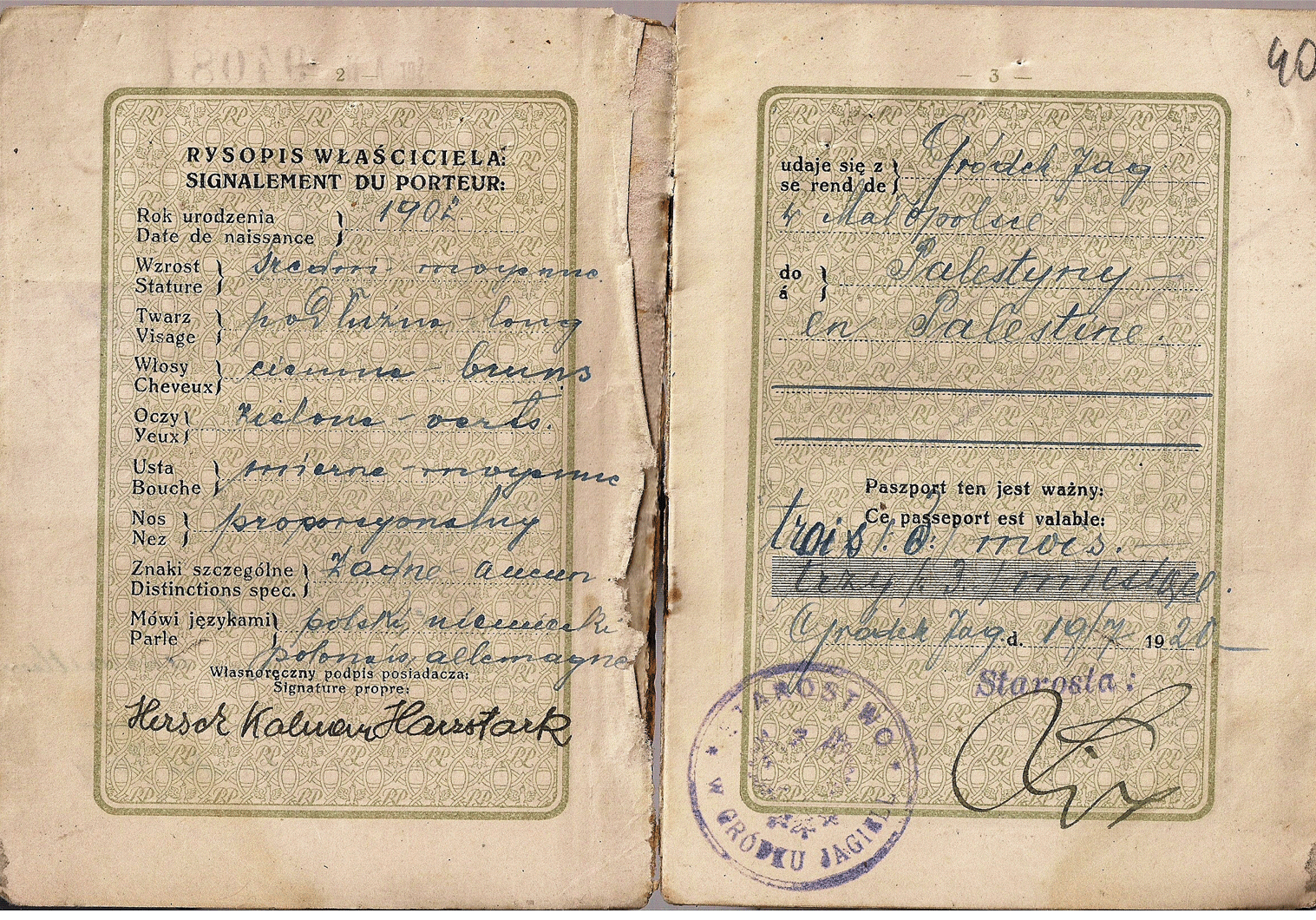 1920 Polish passport