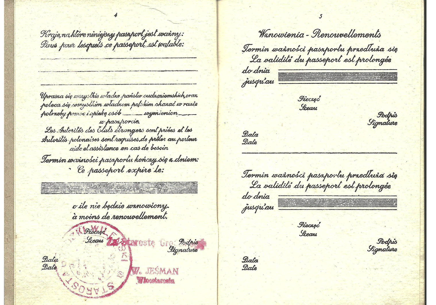 WW2 Polish fake passport