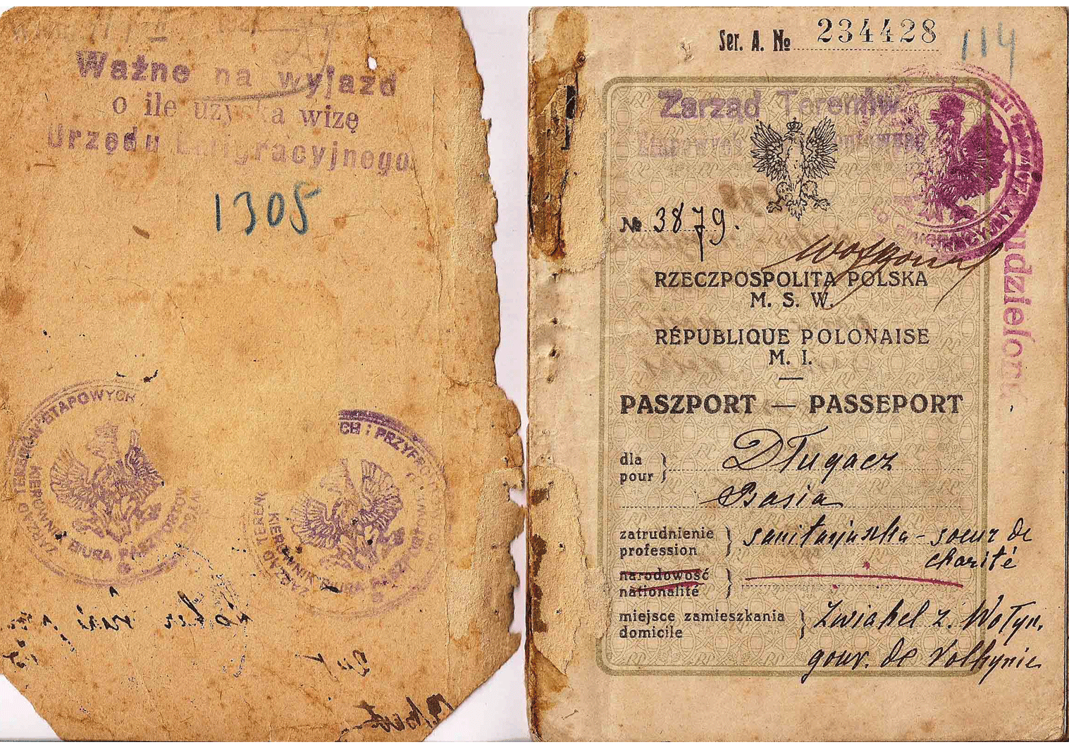 post-WWI passport issued in liberated former Russian territory.