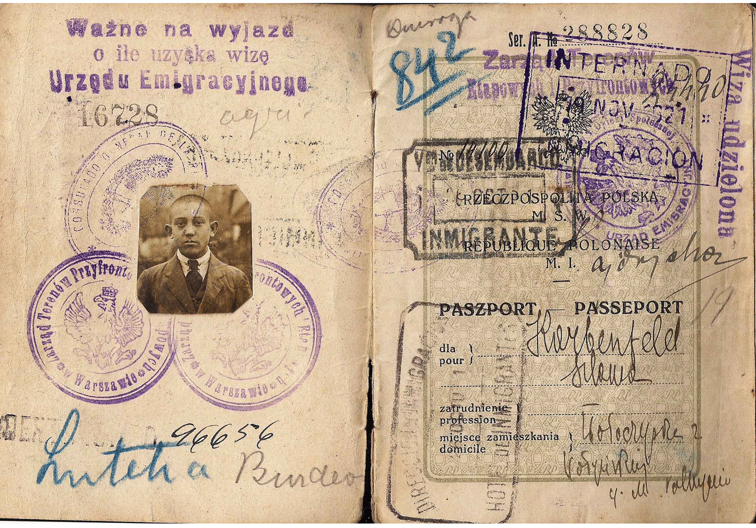 post-WWI passport issued in liberated former Russian territory.